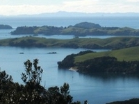 Motutapu Island
