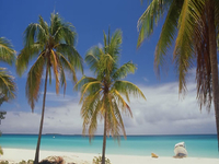 Loyalty Islands Loyalty Islands
