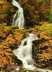 Mouse Creek Falls