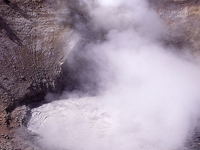 Yellowstone Mud Volcano