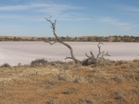 Murray River National Park