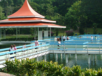 MacRitchie Reservoir MacRitchie Reservoir