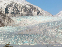 Mendenhall Glacier Mendenhall Glacier