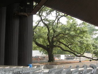 Miller Outdoor Theatre Miller Outdoor Theatre