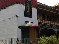 Namgyal Research Institute of Tibetology