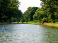 Donau Auen National Park Donau Auen National Park