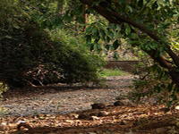 Navegaon National Park Trekking