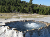 New Crater Geyser New Crater Geyser