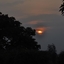 Nice View Of Sunset