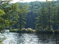 Nipmuck State Forest