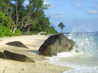 North East Point