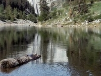 North Fork Clearwater River North Fork Clearwater River