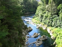 Pelorus River