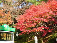 Shuzenji Romney Railway