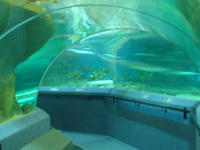 National Aquarium of New Zealand