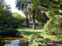 Orto botanico di Pisa