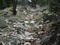 Osceola Ditch