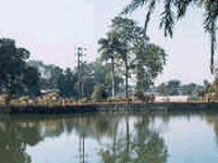 Padum Pukhuri Lake Padum Pukhuri Lake