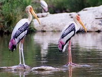 Hesaraghatta Lake Hesaraghatta Lake