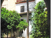 Palace of the Marquises of El Carpio
