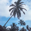 Cocos (Keeling) Islands
