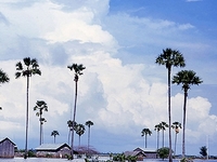 Kampong Speu