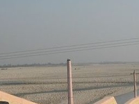 Pilibhit