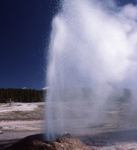 Pink Cone Geyser Pink Cone Geyser