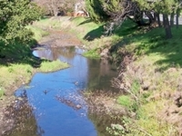 Pinole Creek Pinole Creek