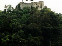 Castello Brown Castello Brown