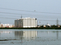 Pallikaranai wetland