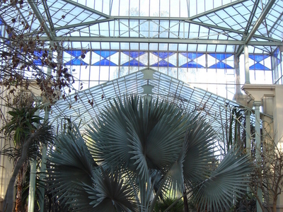 Palm  House     Botanic  Gardens  Adelaide