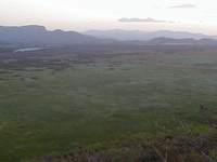 Palo Verde National Park