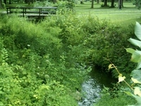 Angrignon Park Angrignon Park
