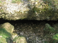 Pate Hole