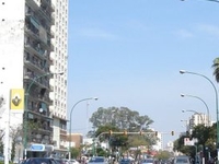Olivos