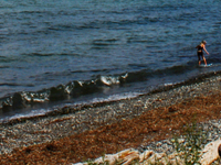 Qualicum Beach Qualicum Beach