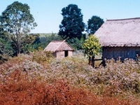 Ratanakiri Kiri