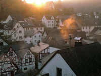 Rauch