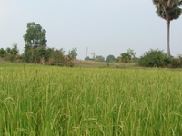 Kampong Thum