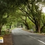 Road To Ooty