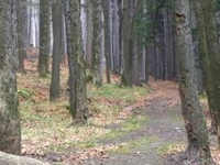 Route through Massif of Parkowa Mountain Route through Massif of Parkowa Mountain