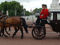 Royal Mews Royal Mews