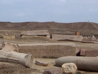 Tanis