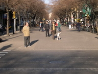Rambla de Catalunya