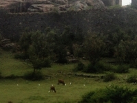 Ranjankudi Fort