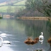 Rydal  Water