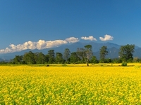 Bhalukpong