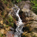 San Martin