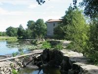 Sevre Nantaise River